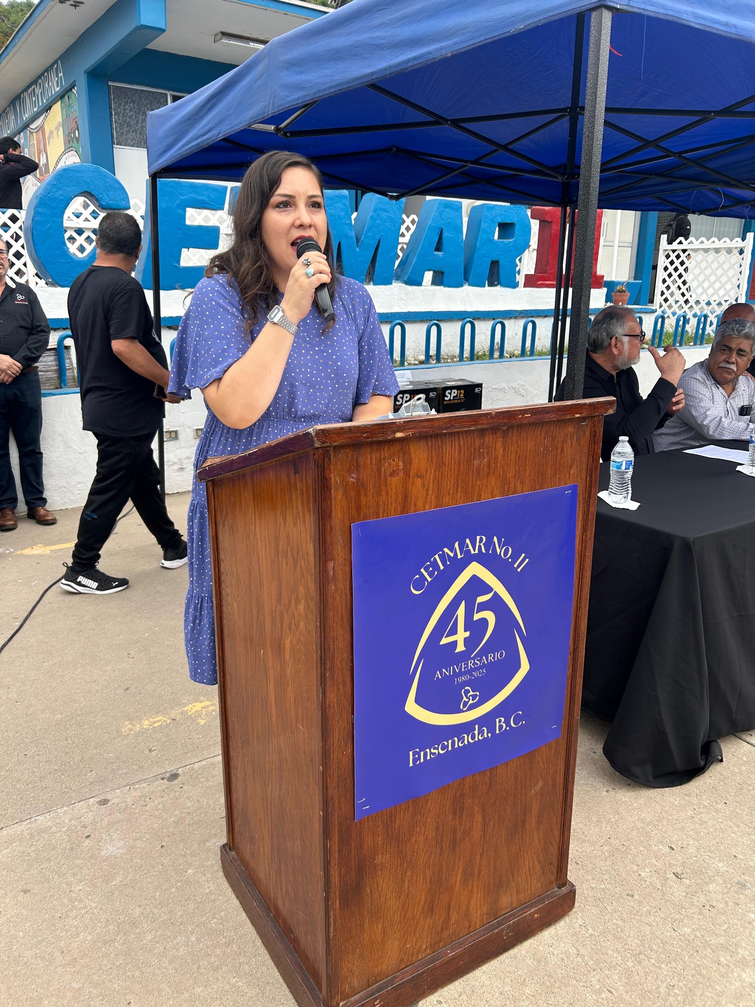 Descripción de la imagen 11