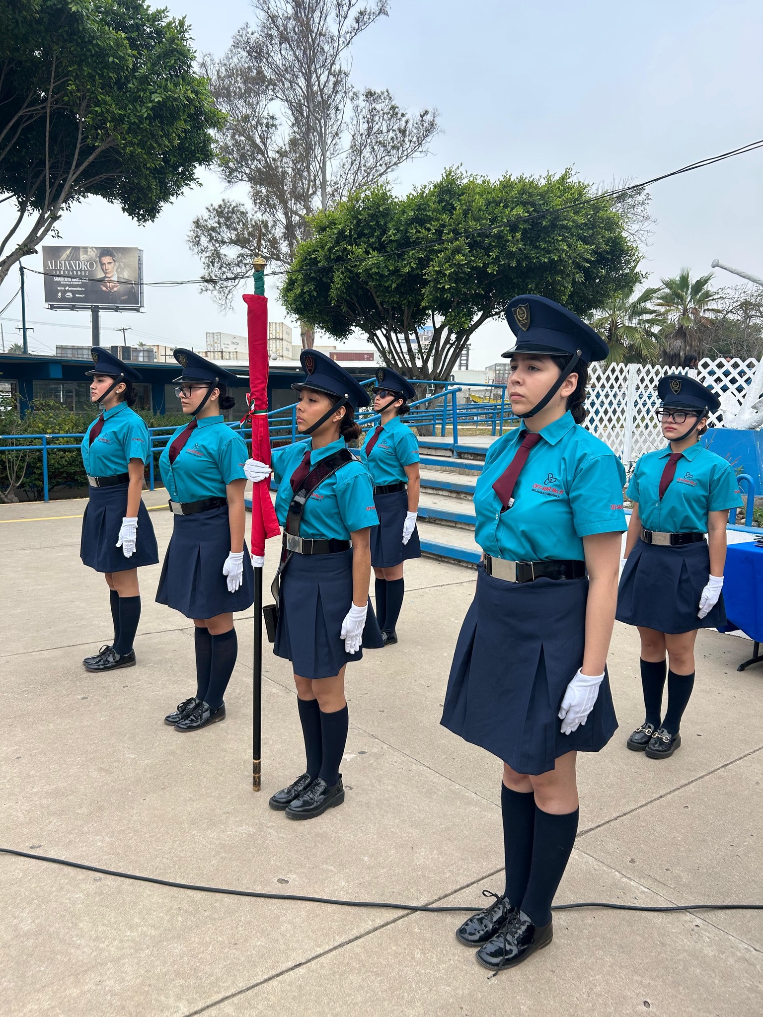 Descripción de la imagen 12