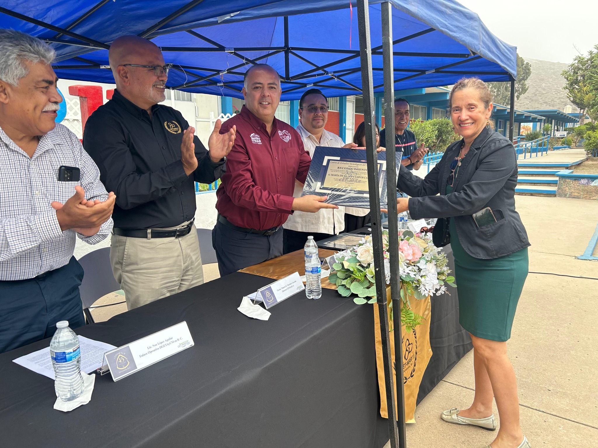 Descripción de la imagen 2