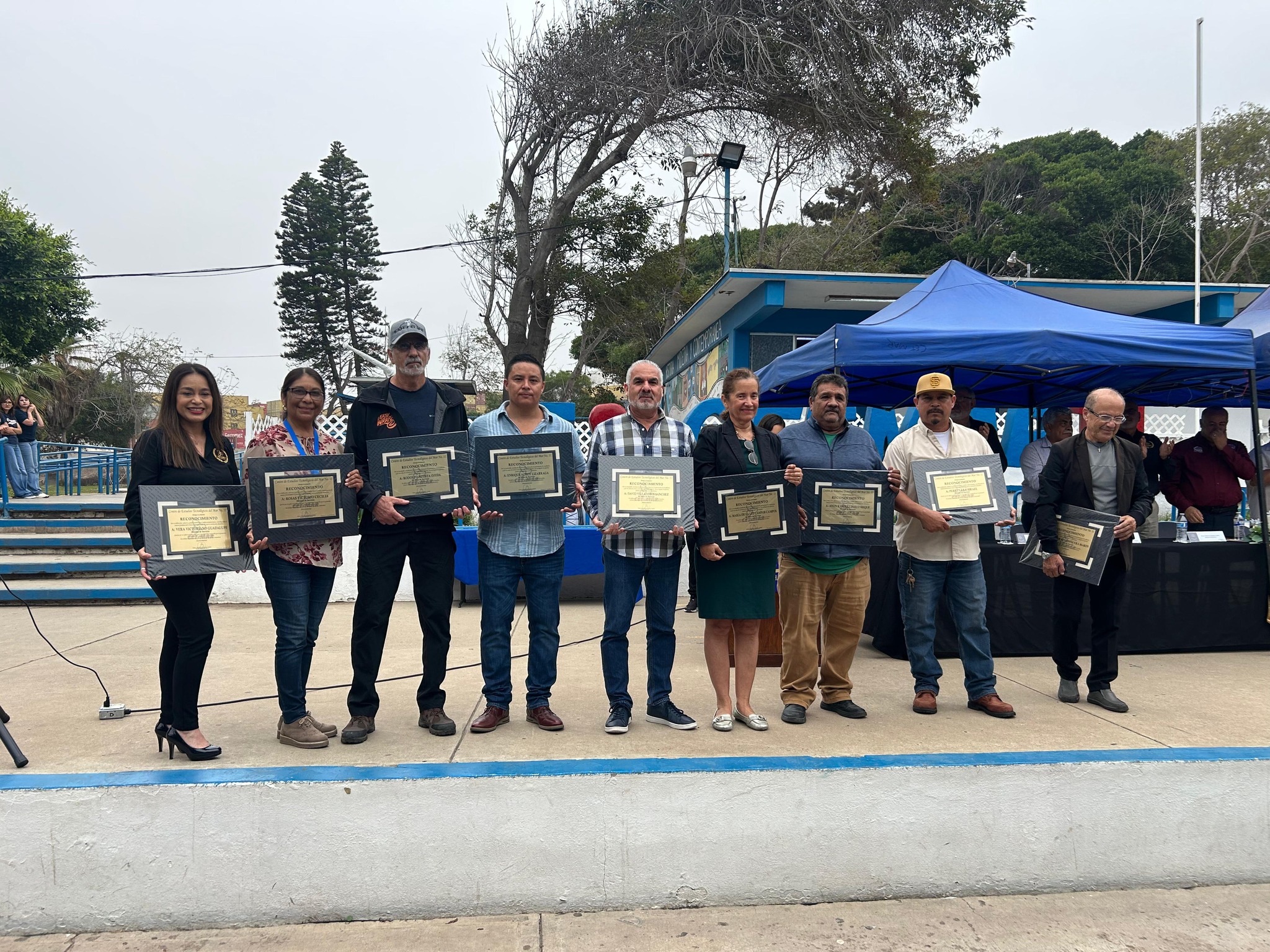 Descripción de la imagen 7